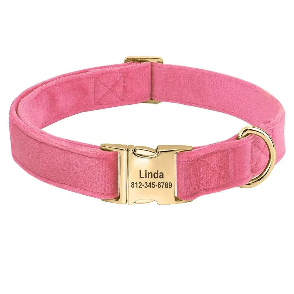 Personalised velvet adjustable dog collar in pink with custom engraved gold buckle and secure ID tag.