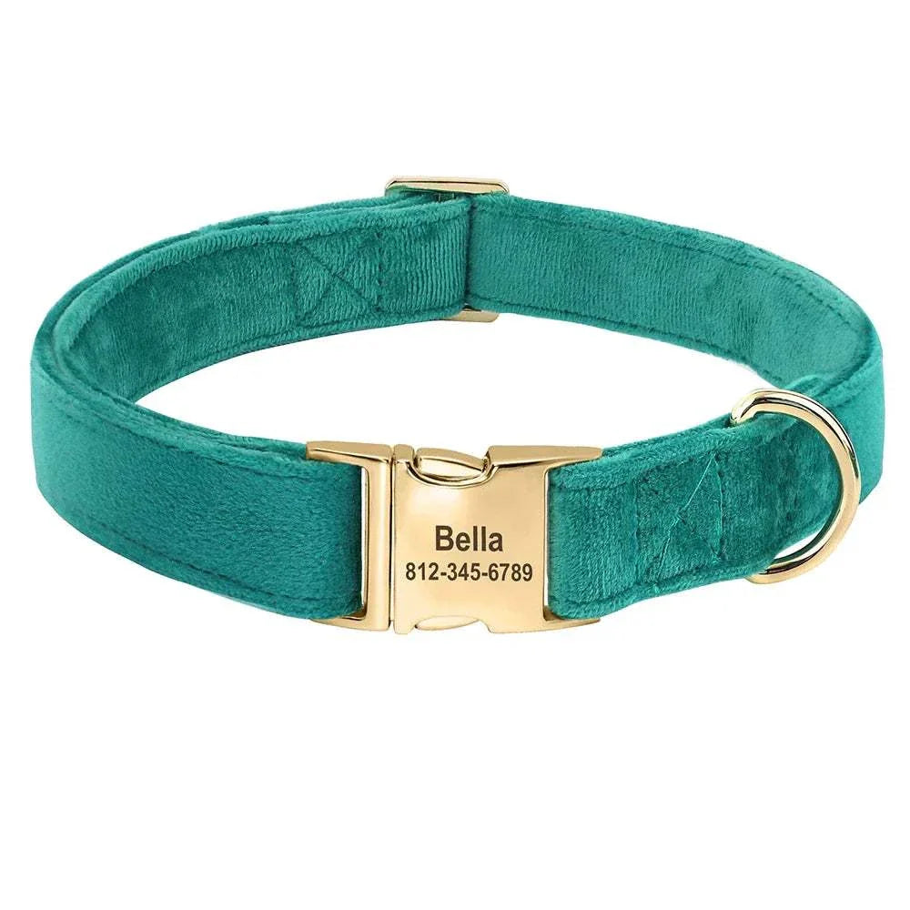 Personalised teal velvet adjustable dog collar with gold ID buckle and custom engraving