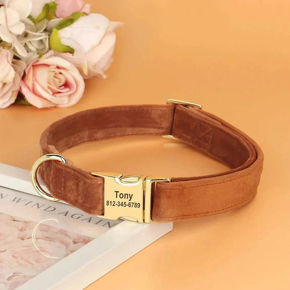 Personalised velvet adjustable dog collar with custom engraved gold ID buckle in brown velvet material