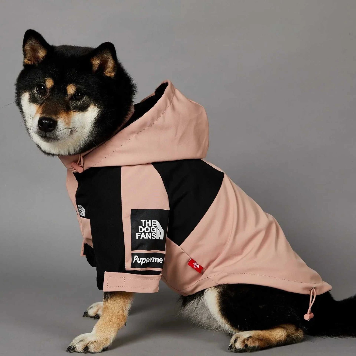 Dog wearing The Dog Face rain jacket, pink and black, cozy and stylish for rainy outings.
