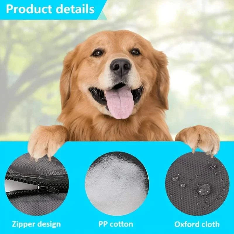 Golden retriever with waterproof pet blanket features including zipper design, PP cotton filling, and Oxford cloth material