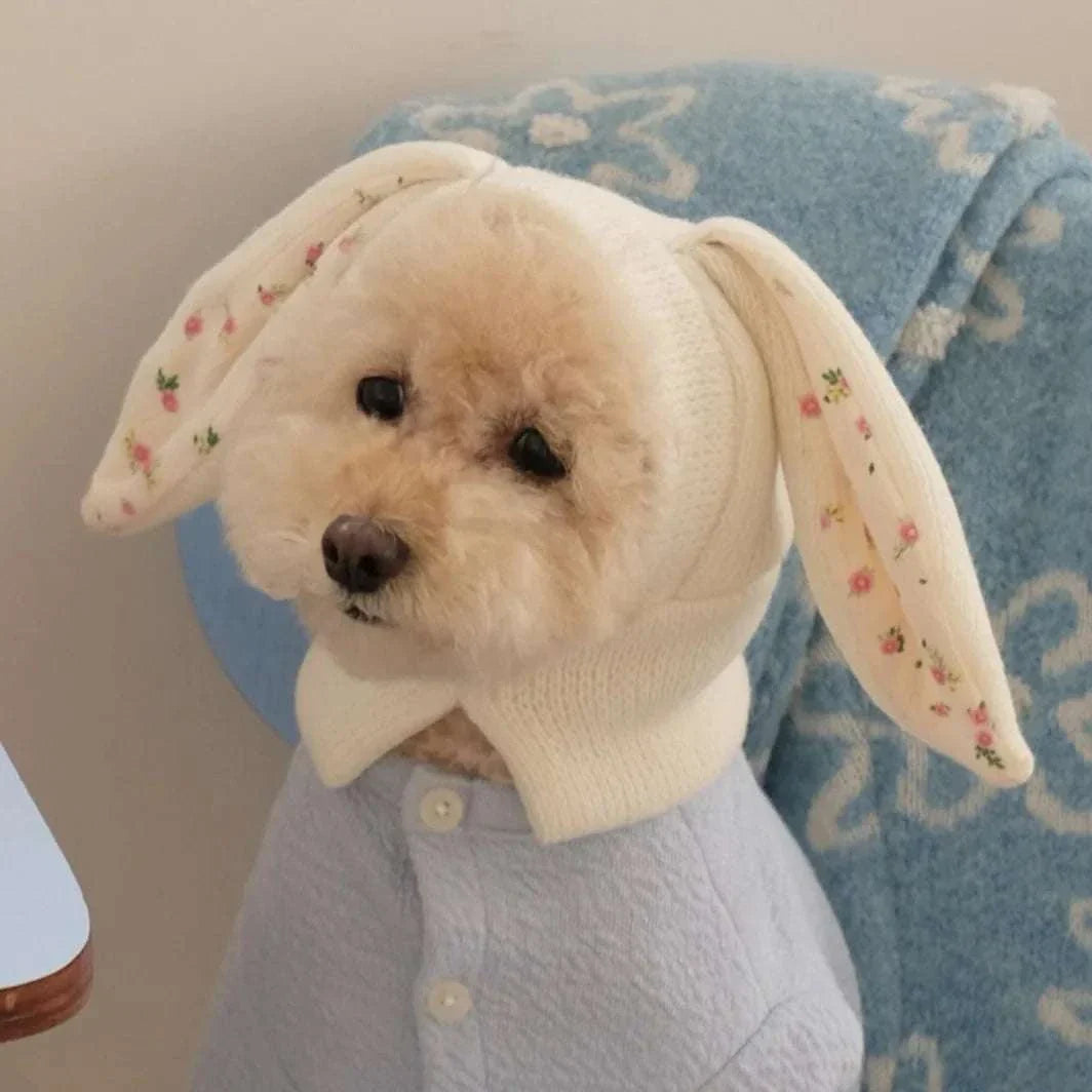 cute knitted rabbit ears dog hat on small fluffy dog with floral pattern inner ears
