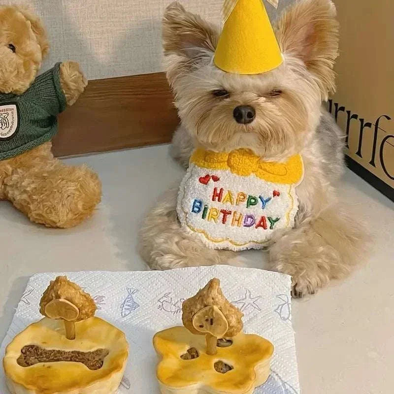 Cute small dog wearing a yellow birthday hat and "Happy Birthday" bandana with dog treats on a table