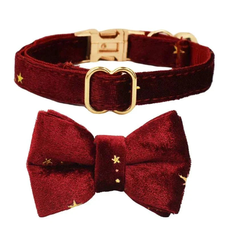 Personalised cat collar soft adjustable with red velvet bow and gold star accents