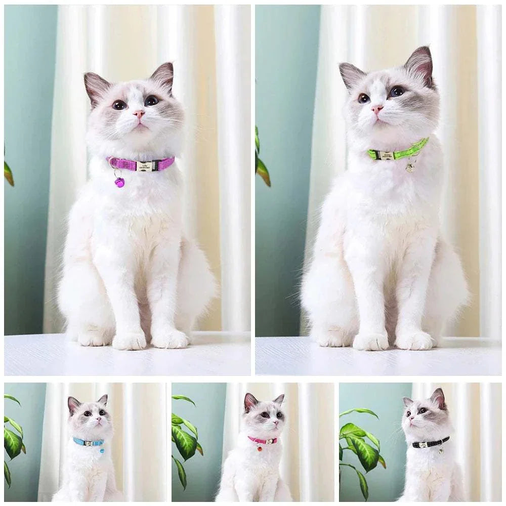 Cats wearing personalised reflective collars with bell in various colors for small pets