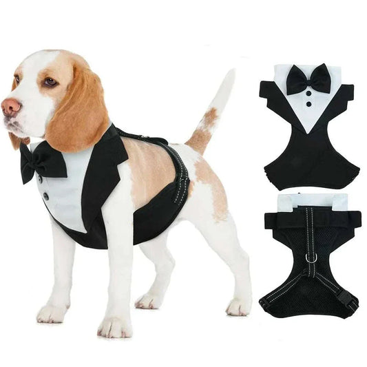 Dog wearing adjustable black and white tuxedo costume harness with bow tie for pets