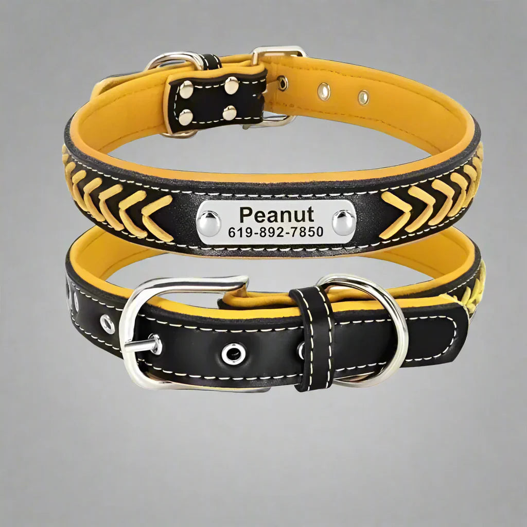 Personalised braided leather dog collar with custom engraved nameplate and phone number, black and yellow design.