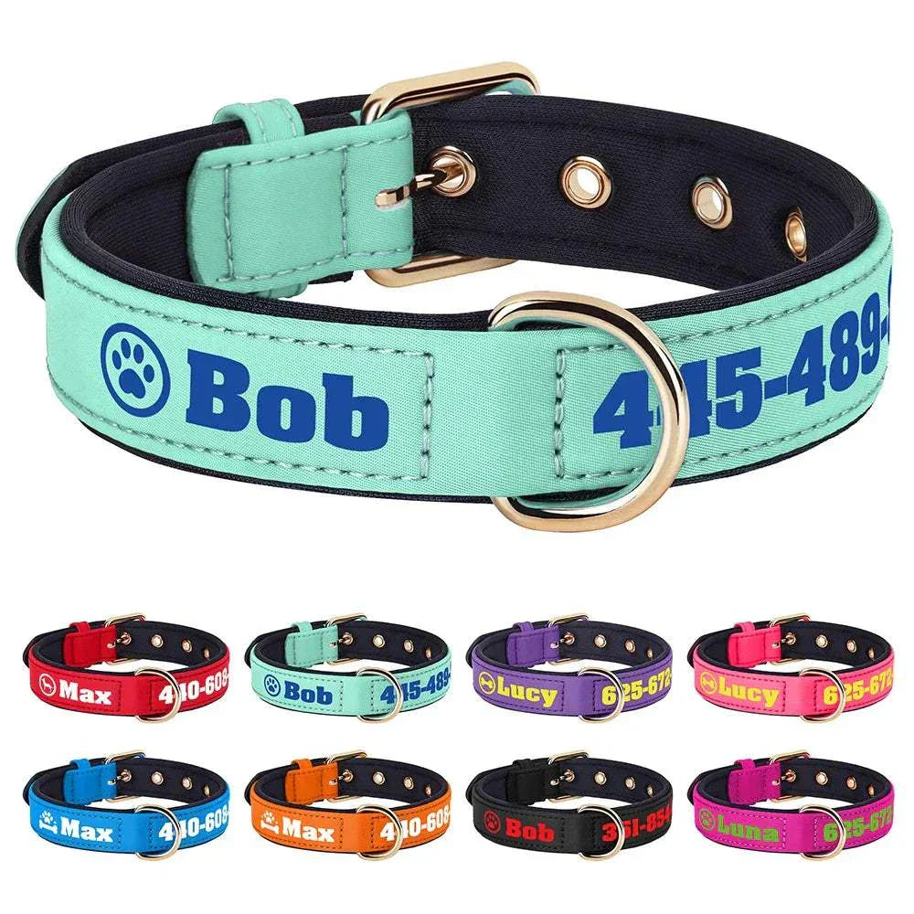 Personalised soft padded PU leather dog collar with custom name and phone number engraving in multiple vibrant colors