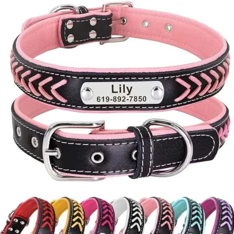 Personalised braided leather dog collar with custom engraved nameplate and phone number, black and pink design with matching stitching and metal buckle.