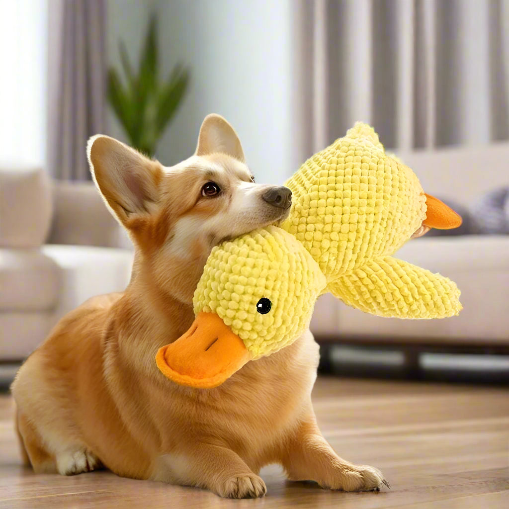 Snuggle Duck plush toy with duck sound squeaker for dogs and puppies.