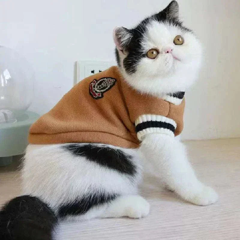 Cat wearing a brown varsity sweater with black and white stripes designed for cats and small dogs