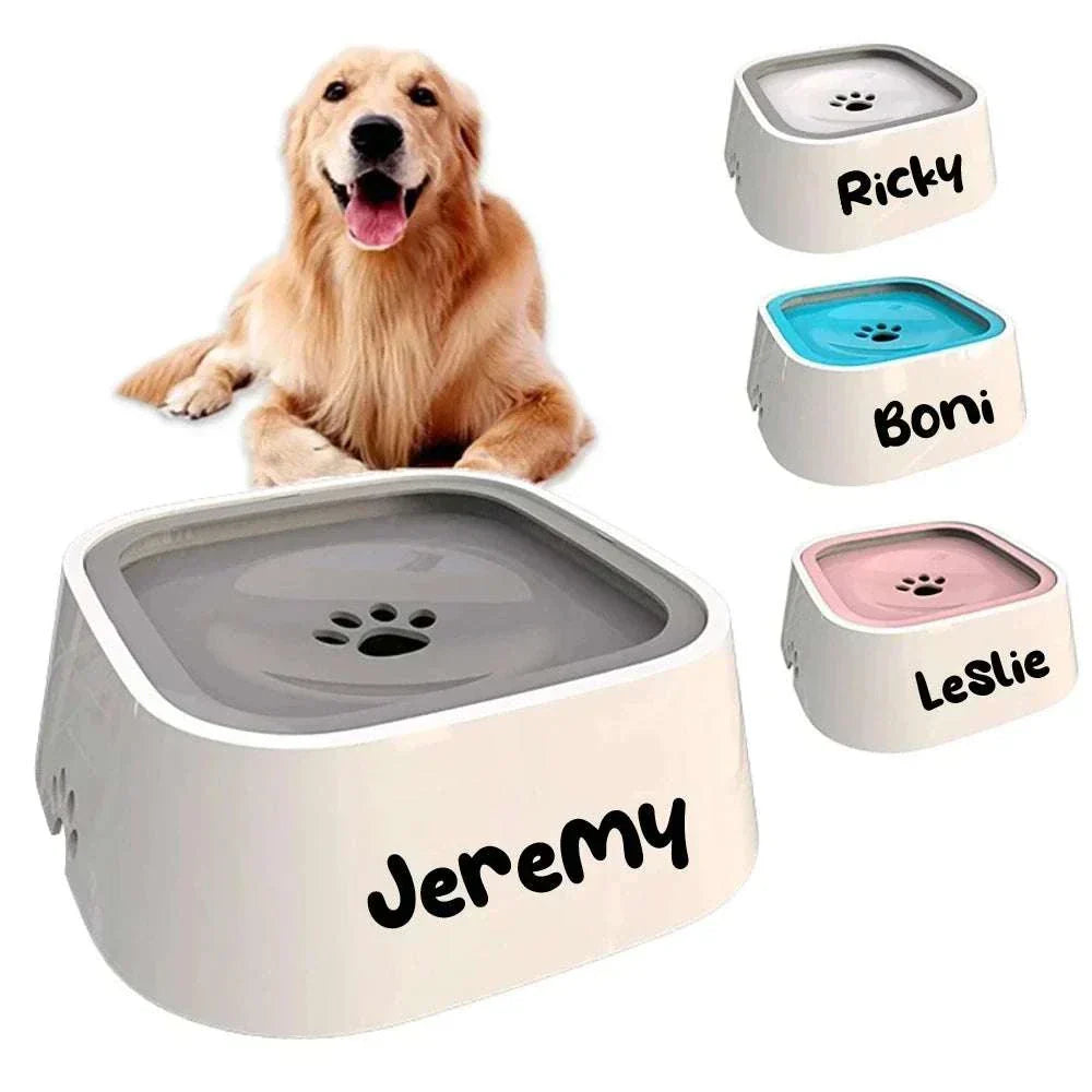 Personalised dog drinking water bowl with spill-proof floating plate and custom name options for cats and dogs