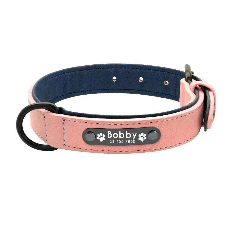 Customised pink leather dog collar with engraved name and phone number for stylish and safe pet walks
