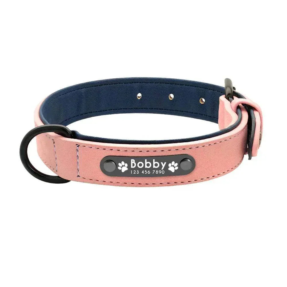 Customised pink leather dog collar with engraved name and phone number for stylish and safe pet walks
