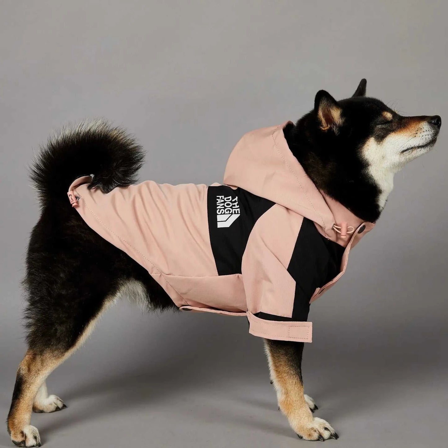 Dog wearing pink and black rain jacket from The Dog Face, providing warmth and style during rainy walks.