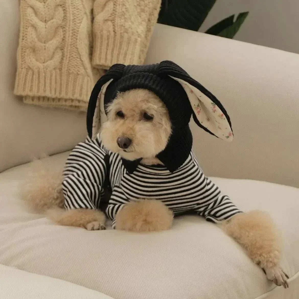 Cute knitted rabbit ears hat for dogs and cats in black, cozy and stylish pet cosplay accessory