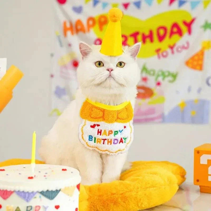 White cat wearing yellow dog cat puppy birthday hat and bandana set at birthday party scene