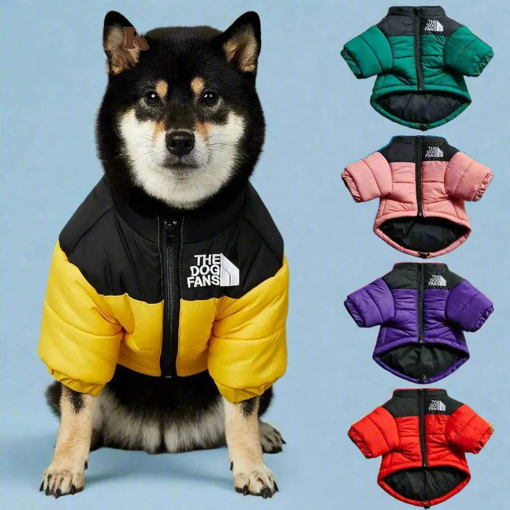 Dog wearing The Dog Fans winter down puffer jacket in multiple colors.