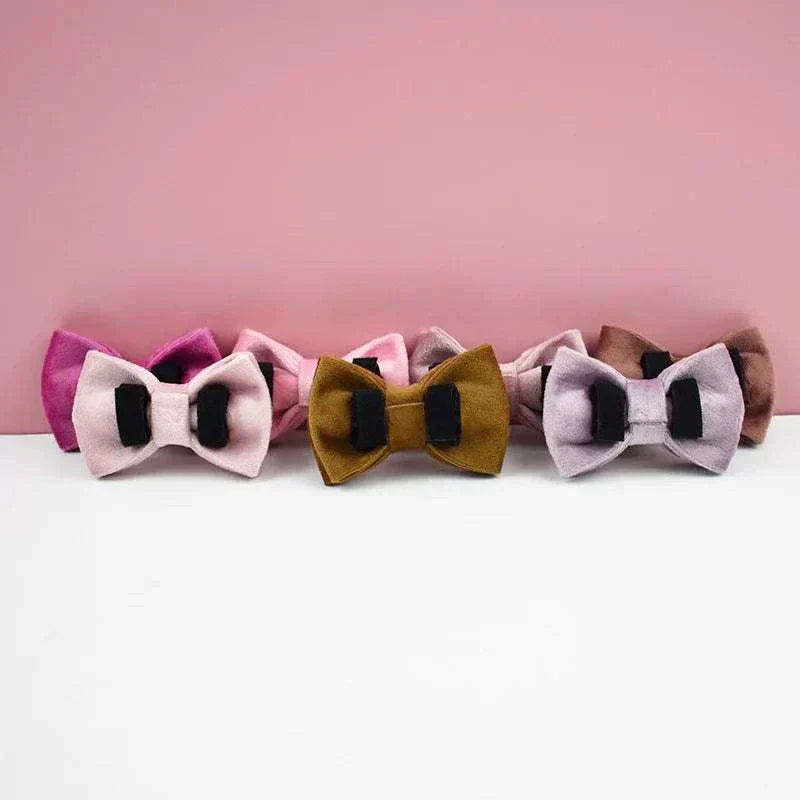 Set of luxury velvet cat collars with bow ties in various colors against a pink background