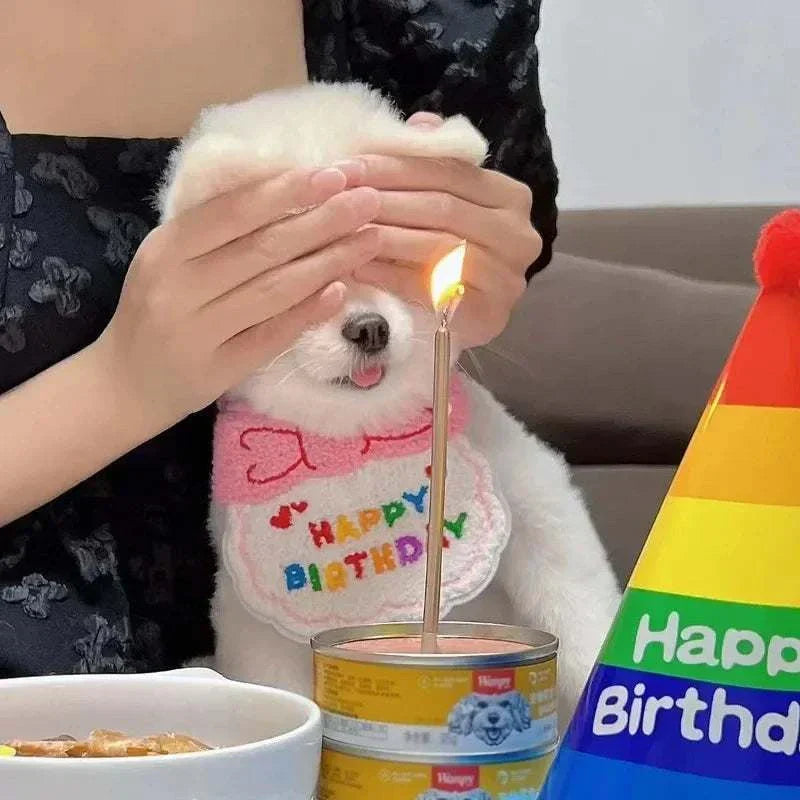 Dog wearing pink birthday bandana with lit candle and colorful birthday hat for dog cat puppy birthday celebration