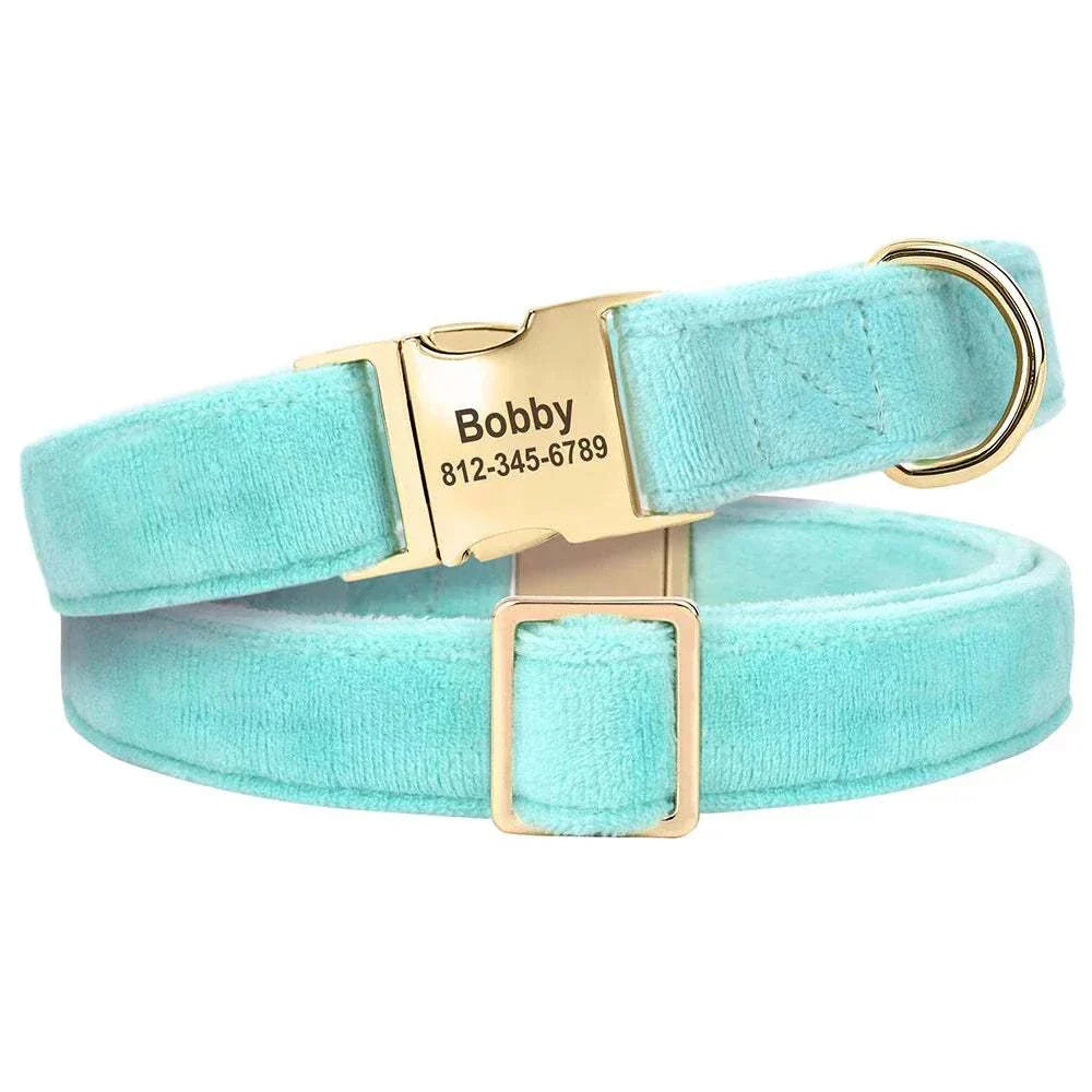 Personalised velvet adjustable dog collar in turquoise with gold ID buckle and custom engraving