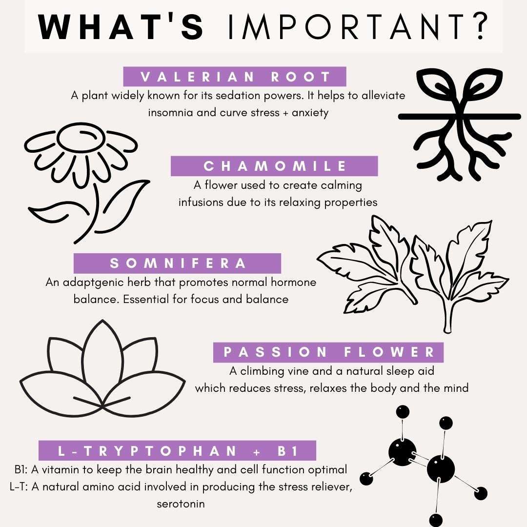 PetzPark Stress and Anxiety for Dogs natural calming formula with valerian root, chamomile, somnifera, passion flower, and L-tryptophan for relaxation and anxiety relief