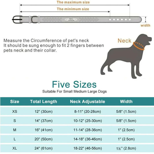 Personalised braided leather dog collar with custom engraving and adjustable sizing for all dog breeds
