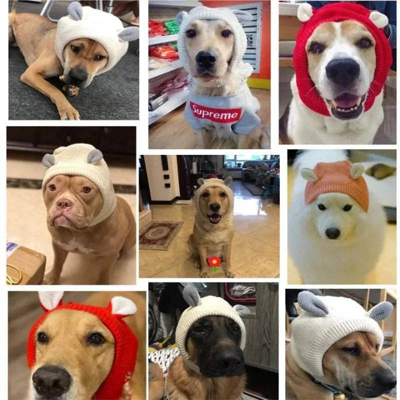 Knitted ear protection hats for dogs, providing anxiety relief and warmth.