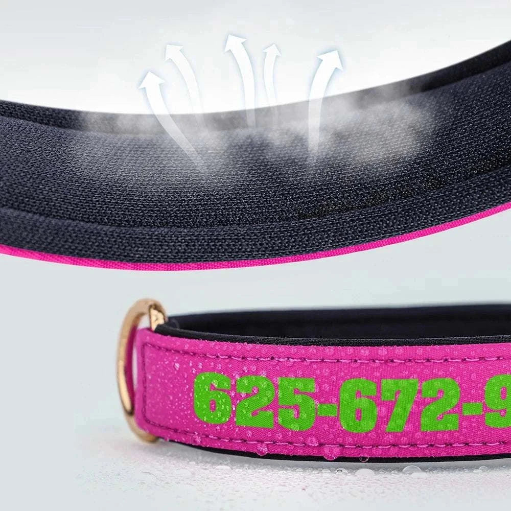 Close-up of personalised soft padded PU leather dog collar with custom engraving and breathable lining