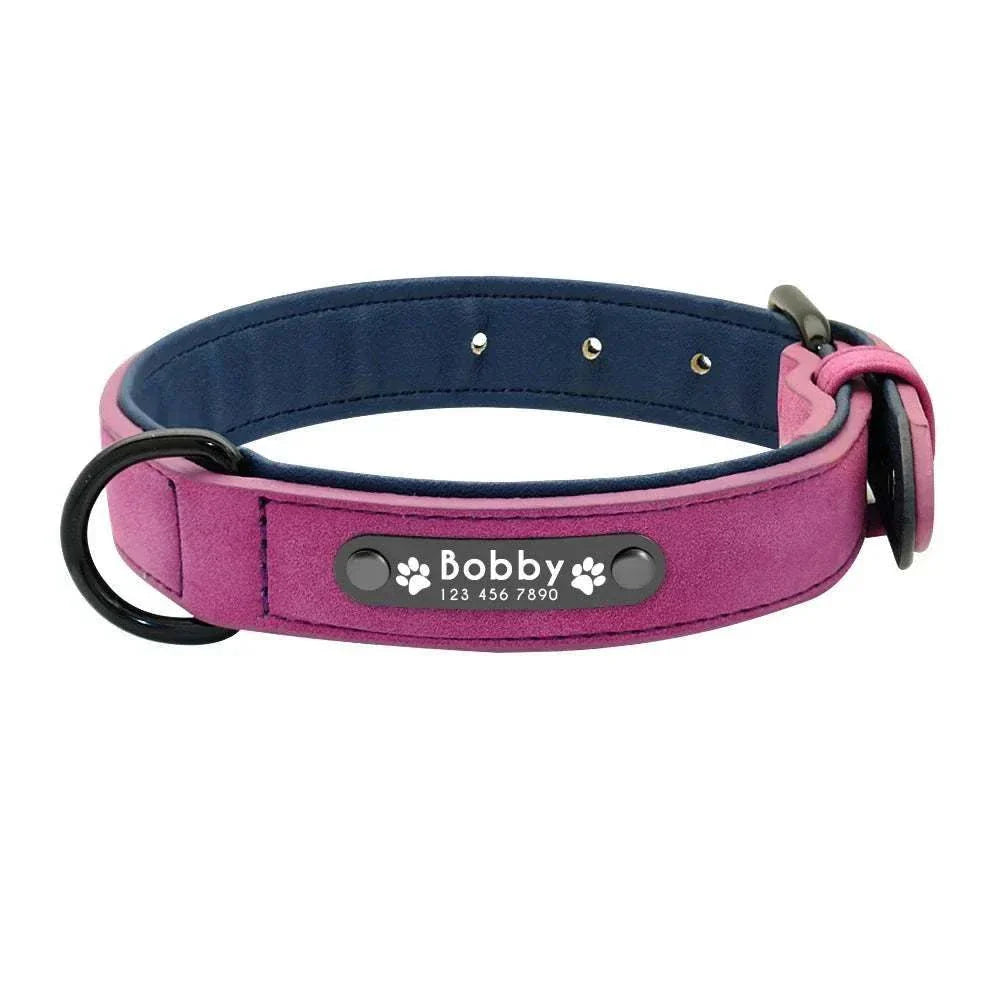 customised leather dog collar in pink with navy lining and engraved name tag Bobby and phone number