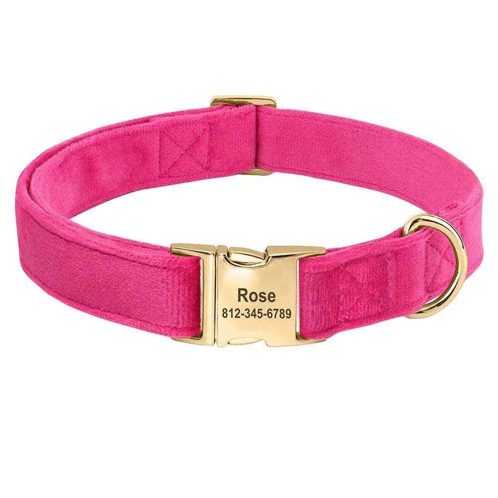 Pink personalised velvet adjustable dog collar with engraved name and phone number on gold buckle