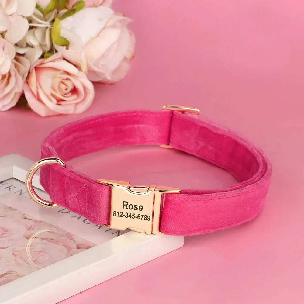 Personalised pink velvet adjustable dog collar with gold ID buckle and custom engraving on a pink background with roses
