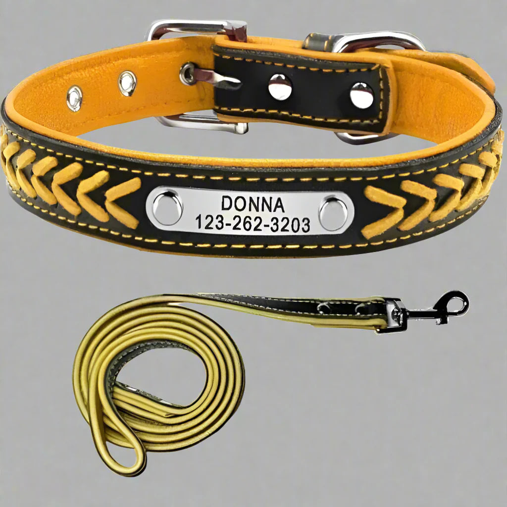 Personalised braided leather dog collar with custom engraved nameplate and matching leather leash set