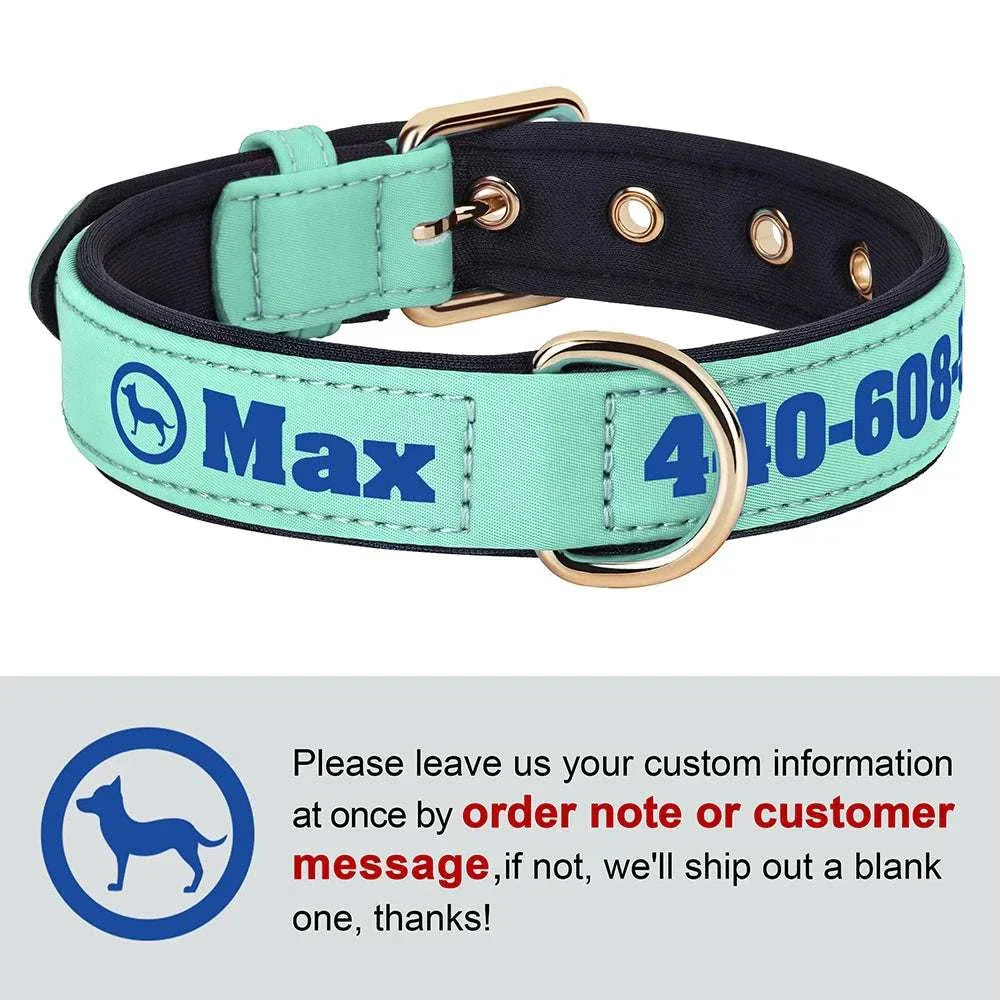 Personalised soft padded PU leather dog collar with custom engraving and adjustable fit for medium and large dogs