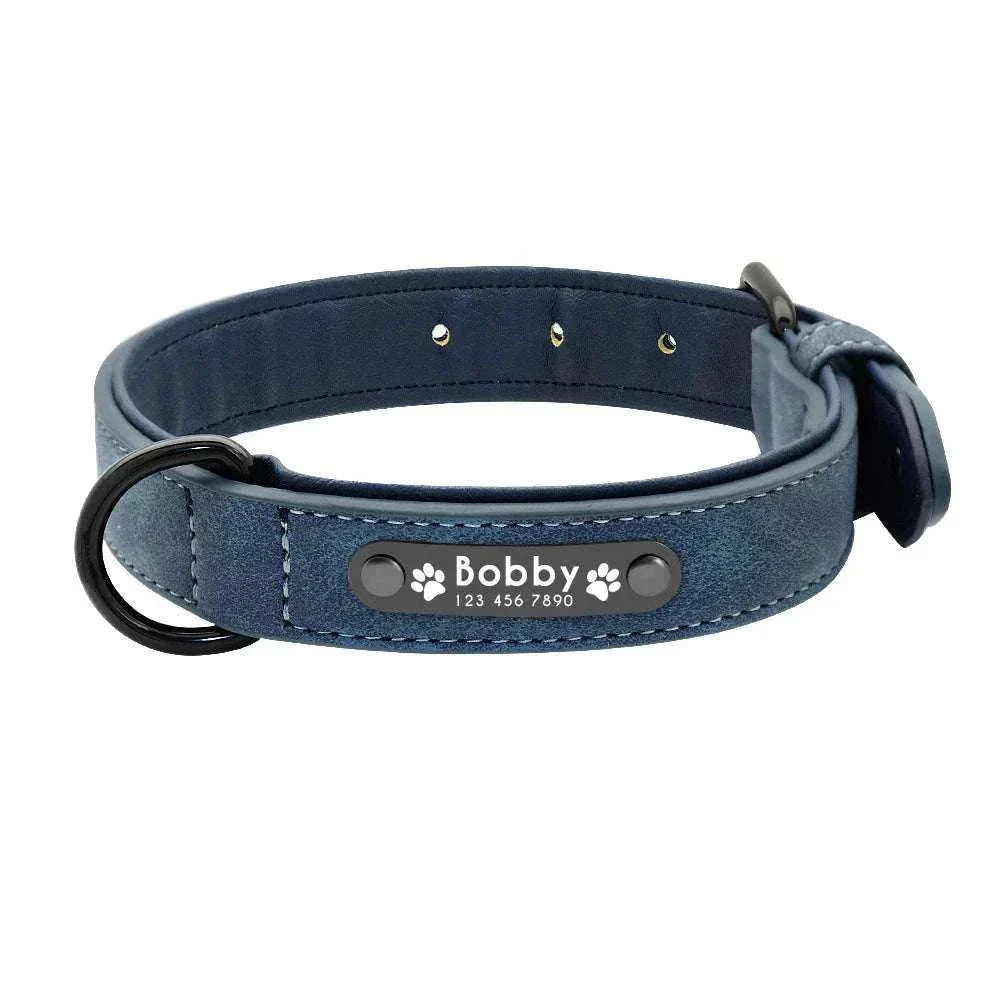 Customised blue leather dog collar with personalized name and phone number tag