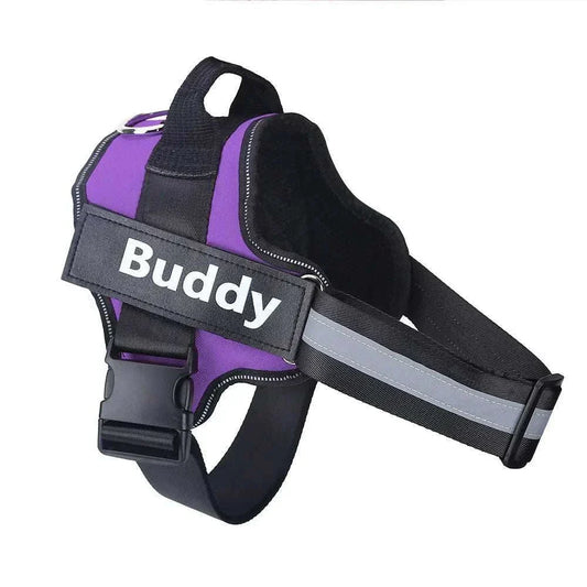 Personalised no-pull reflective dog harness in purple with adjustable straps and customized name patch "Buddy" for safe and comfortable walks.