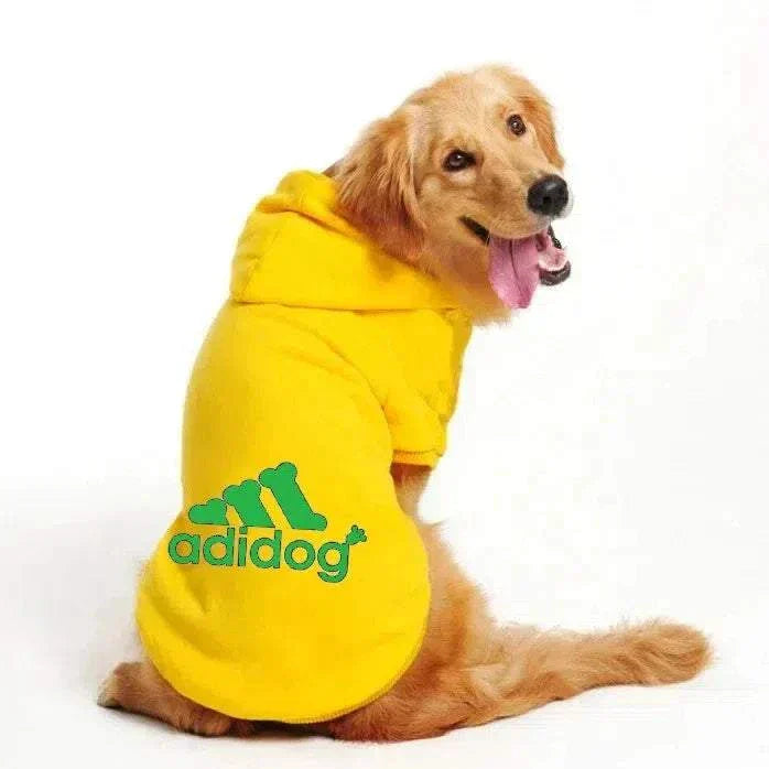 Golden retriever wearing a yellow Adidog hoodie dog jumper with green logo