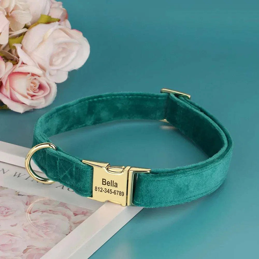 Personalised velvet adjustable dog collar with custom engraved gold ID buckle in teal velvet material