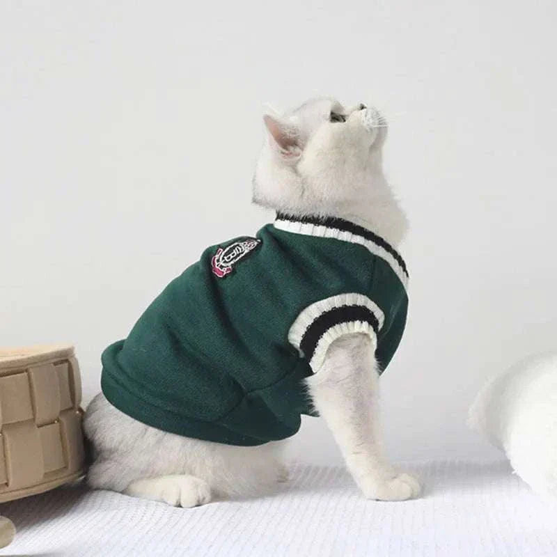White cat wearing green varsity sweater sitting on white surface