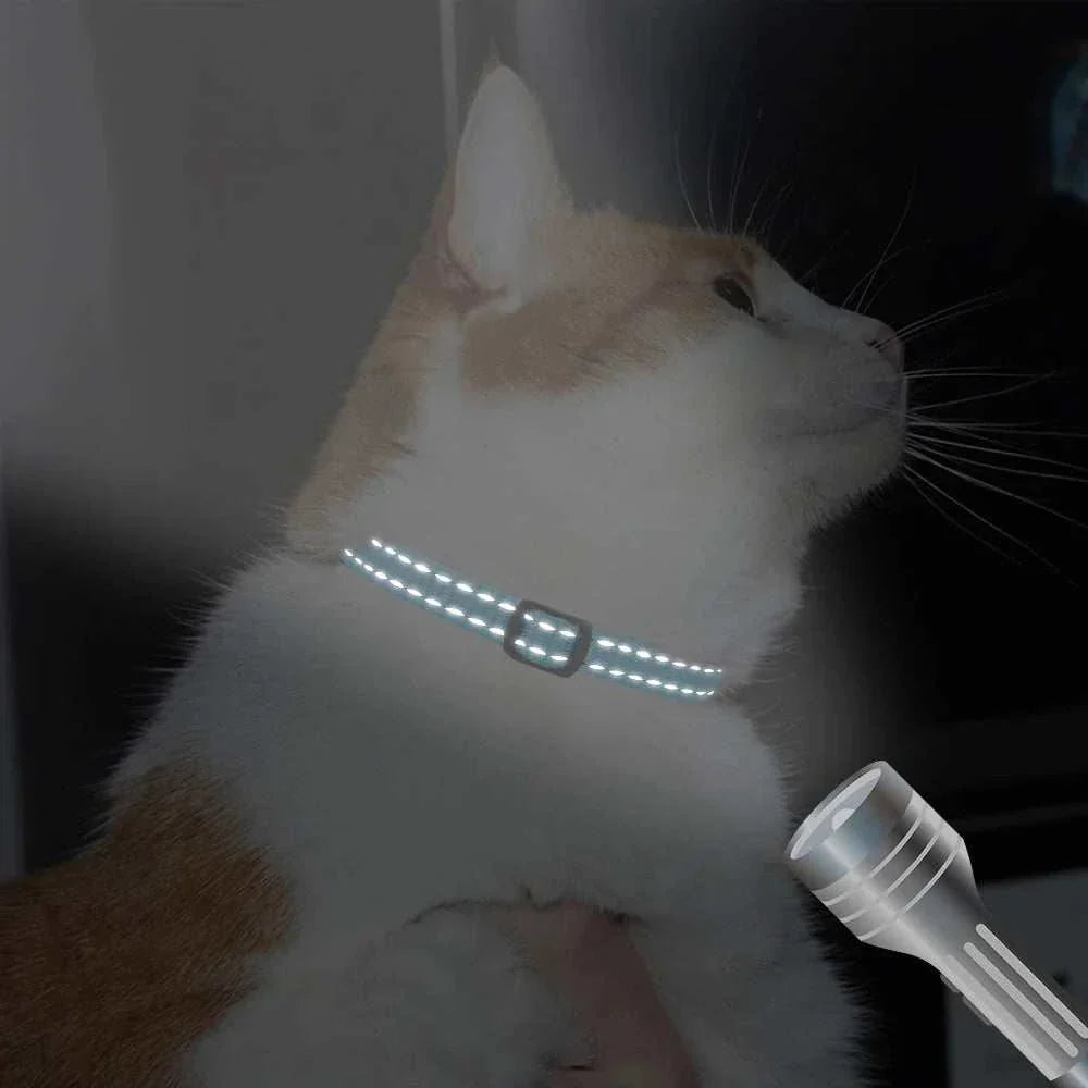 Personalised reflective collar on cat glowing under flashlight for safety and visibility