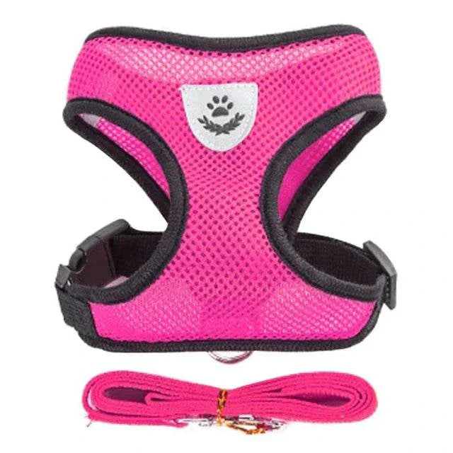 Pink adjustable breathable harness for cat with matching leash