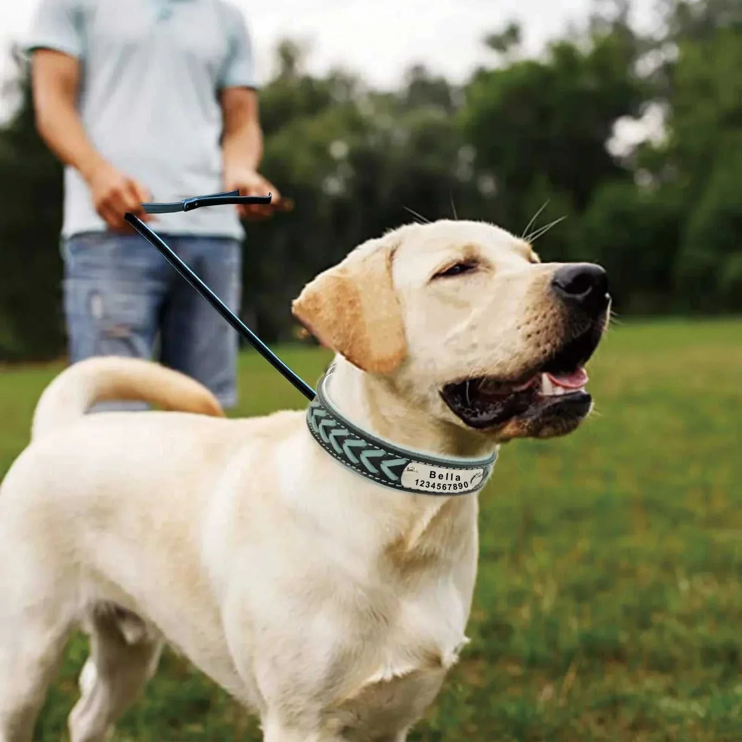 Golden retriever wearing personalised braided leather dog collar with custom engraved ID tag and matching leash outdoors