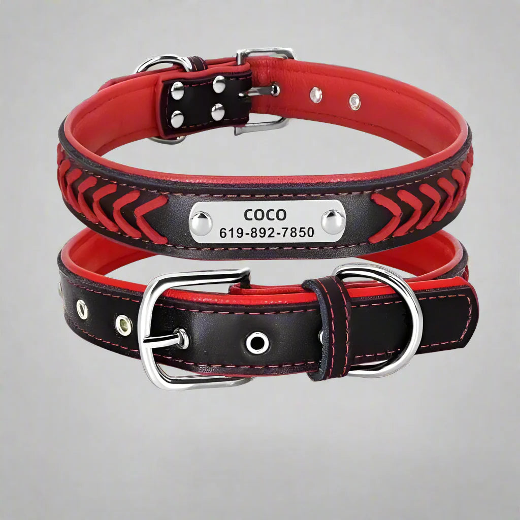 Personalised braided leather dog collar with custom engraved nameplate and phone number in black and red colors