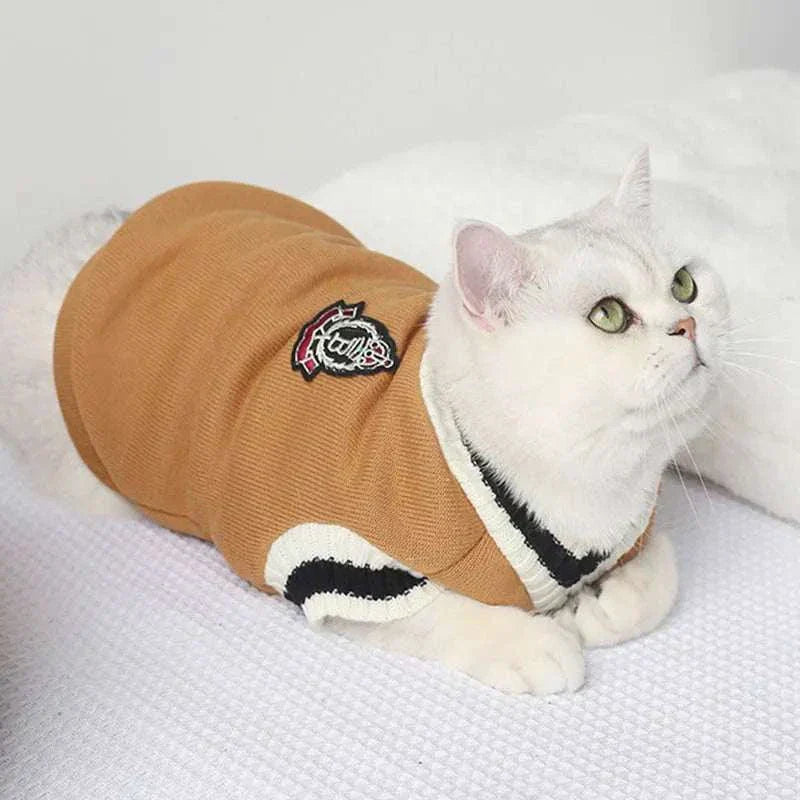 White cat wearing a brown varsity sweater with black and white trim lying on a blanket