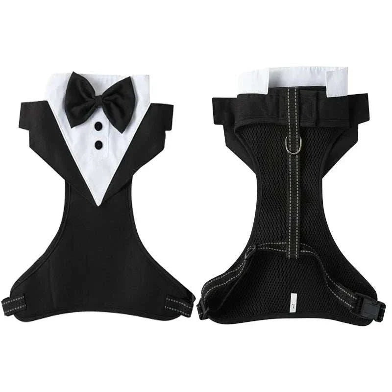 Dog tuxedo costume harness with adjustable bow tie and breathable mesh back for small to medium dogs