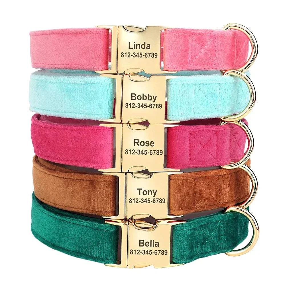 Personalised velvet adjustable dog collars in various colors with custom engraved gold ID buckles for pet safety and style