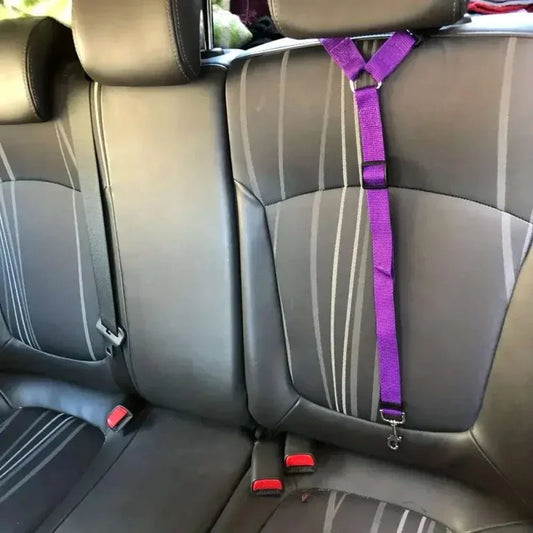 Adjustable single dog seat belt car headrest restraint in purple attached to car seat