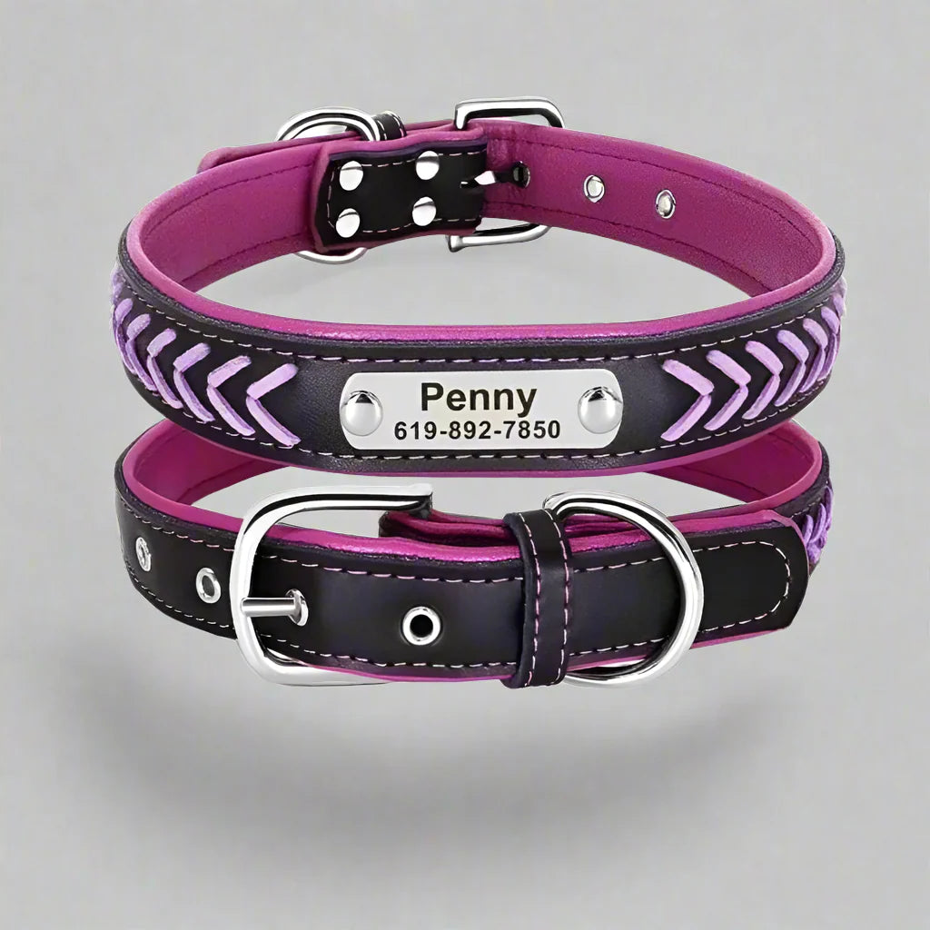 Personalised braided leather dog collar in black and purple with custom engraved nameplate and matching leash buckle