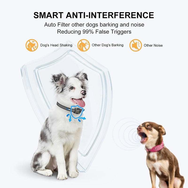Mini Anti-Barking Collar on small dog with smart anti-interference technology to reduce false triggers from other dogs and noise.