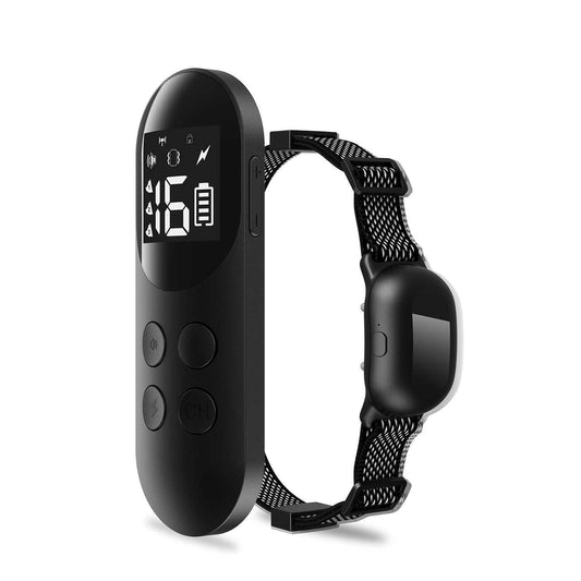 T200 Remote Training Collar with waterproof adjustable strap and rechargeable remote for dog training
